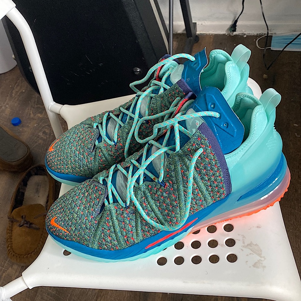 LeBron James Shoe